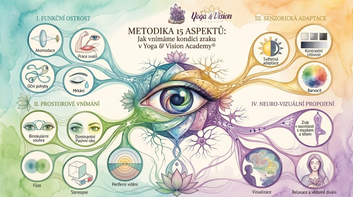 Metodika 15 aspektů zraku — funkční ostrost, prostorové vnímání, senzorická adaptace a&nbsp;neuro-vizuální propojení